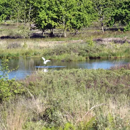 Spydspidsvej * Ertebølle